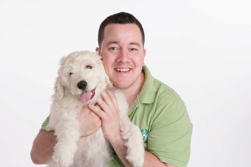 SteveIGDB's profile picture. Puppy Walking Supervisor for Kildare & Dublin North, I work with amazing people and animals. Greatest job in the world