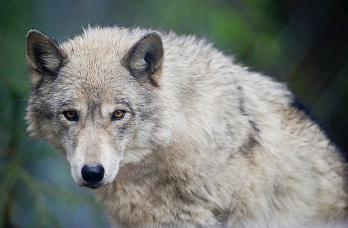 VisuallyStruck's profile picture. Visually Striking Photographs