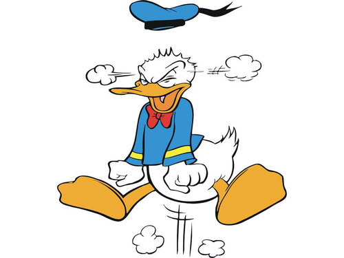 o cachorro é o melhor amigo do homem 
o Pato é o melhor amigo da mulher