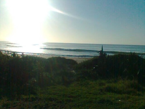 rebeccantombie's profile picture. 