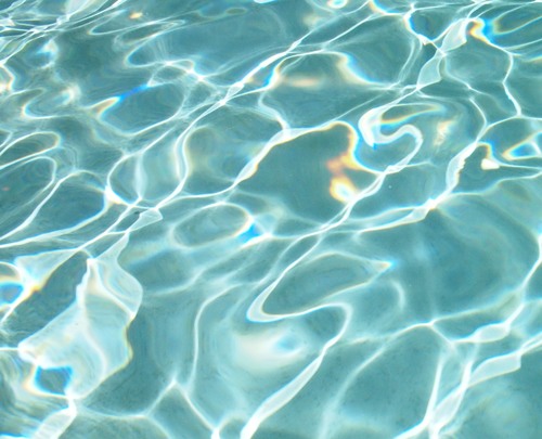 PJLuv00's profile picture. 