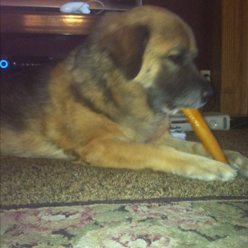 twitchell83's profile picture. 