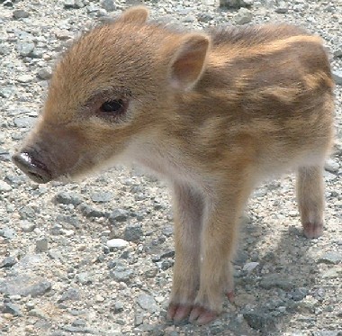 bourijr's profile picture. 