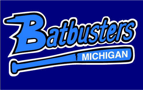 MichiganBatbusters