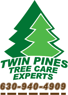 Enjoy your trees and let us take care of them!