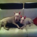 Patrick Doyle - @PatrickDoyle83 - Twitter