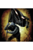 Lestat469's profile image