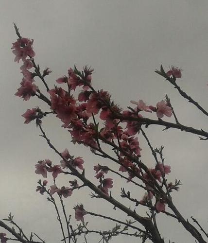 lidiadali's profile picture. 