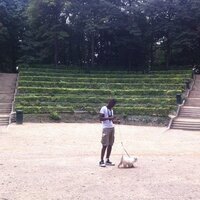 Bacary (@bacaryg) 's Twitter Profile