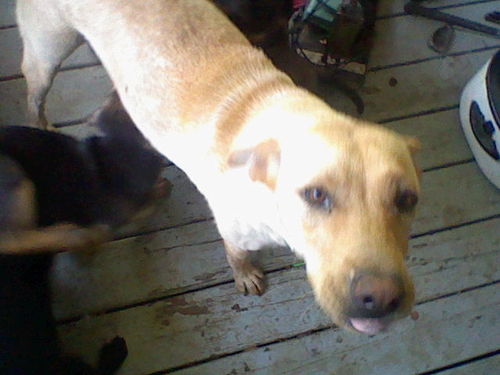 Cece_78's profile picture. just a young kid with big dreams