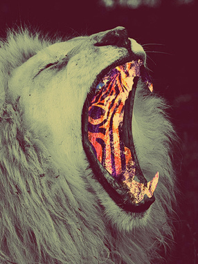 Beef ♥