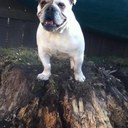 Wanda LeClair - @akaWandella - Twitter