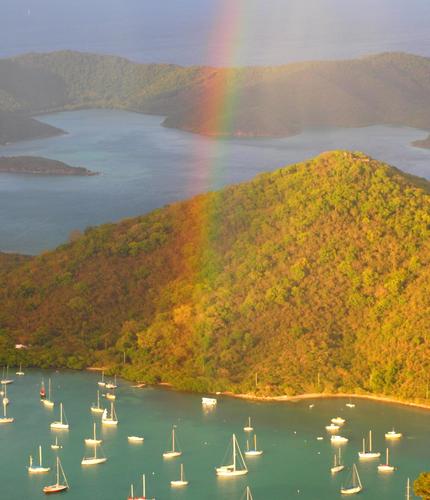Manufacturing Association Executive; Travel and Cruise Enthusiast;