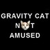 NirvanaSpirit666 (@bionicdrive) Twitter profile photo