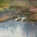 Stephanie Bach - @WriterBach - Twitter