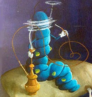 xxtadhyyyyhh's profile picture. 