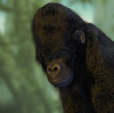 The purpose of the Galiwango Film is to reach out to the Youth, to sensitize them to the plight of the last remaining mountain gorillas, Batwa, and Rangers.