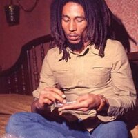 mo (@mamadoushen) 's Twitter Profile Photo