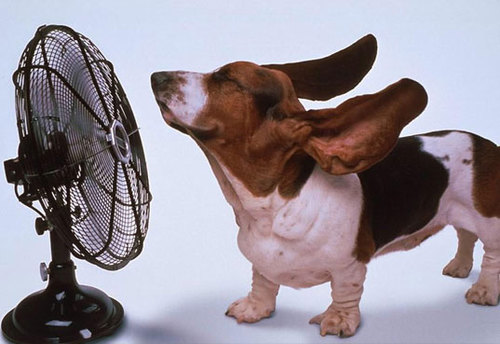 How to stay cool even when the weather is hot!