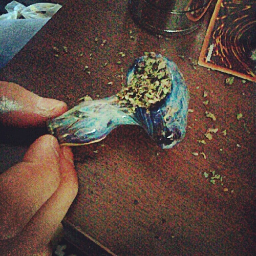 stoned girl, stay high, stay happy, fuck the police, & get fucked up