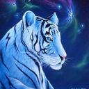 Gavin Milton Stewart - @Mystic_Tiger - Twitter