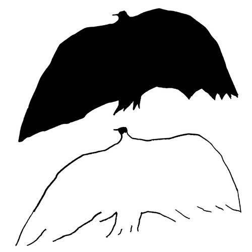 Blackbird-Whitebirdさんのプロフィール画像