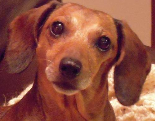 katiadog's profile picture. Conservative intellectual wanting to change minds. Check my blog out and follow me