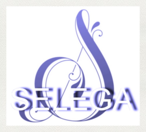 MusikSELEGA's profile picture. • Indonesian Soul , Funk & PopJazz Band • For more info & booking contack: DM or 085774008105 •