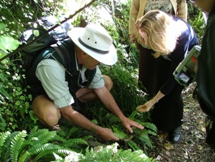 guidedwalksnz's profile picture. Every Step a Story