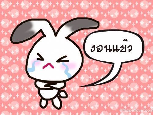 NuFangNaKa's profile picture. 