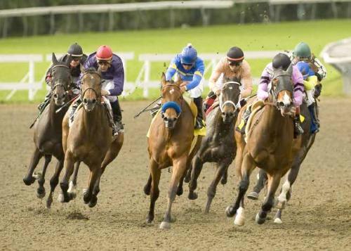 Looking for Top Free Betting Advice? Check out Best Betting Advice!