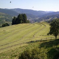 jerome mathieu (@jerome088250) 's Twitter Profile