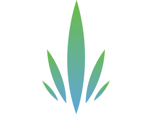 Informatie Centum Cannabis geeft feiten & cijfers over cannabis. Lees over productie, gebruik en wet- en regelgeving. Informatie over cannabis voor iedereen.