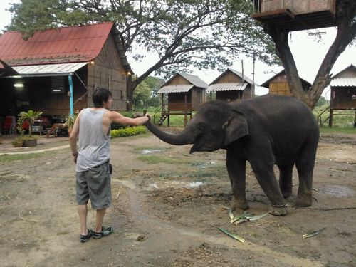 mosketer1's profile picture. 