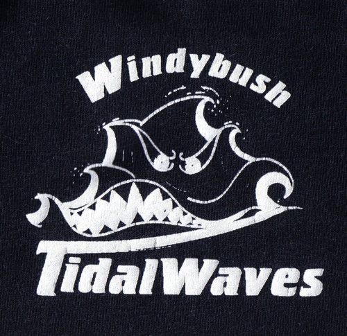 Tidalwaves2009's profile picture. 