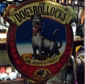 NormanCheese1's profile picture. 