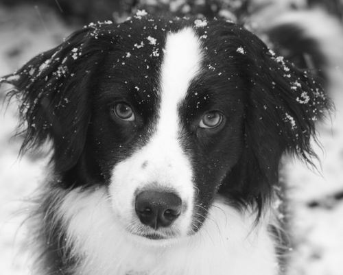 hsnell's profile picture. 