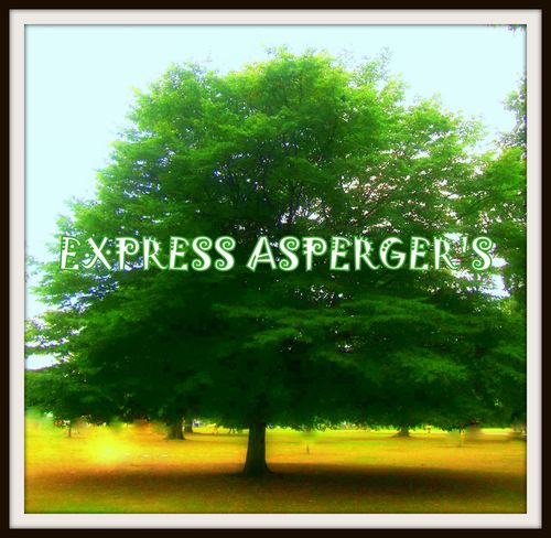 Express Aspergers UK is an initiative highlighting the broad spectrum of talent possessed by those with AS