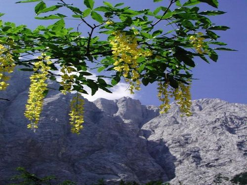 DeanCGuillory's profile picture. If you eat yogurt you'll have lots of culture.