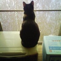 ASAKA (@573ak) 's Twitter Profile Photo ASAKA (@573ak) 's Twitter Profile Photo
