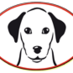 ForumCani.it (@forum_cani) Twitter profile photo ForumCani.it (@forum_cani) Twitter profile photo
