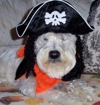 vettegirl0187's profile picture. Dog lover. Fiber Artist Lover of Victorian Architecture Corvette driver