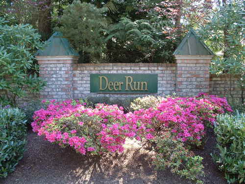 Deer_Run's profile picture. 