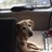 Deeks1477's profile image
