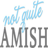 Not Quite Amish is for those who love Amish communities, simple living, vintage style, and desire to be in growing relationships with friends, family, & God.