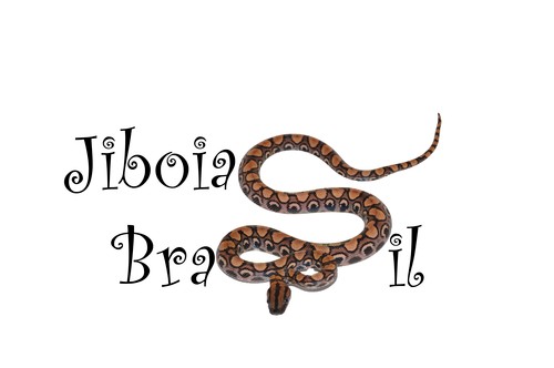 O criatório Jiboias Brasil é uma empresa especializada em criaçăo e manejo de serpentes da família das jiboias (Boidae).