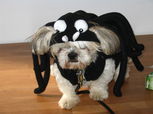 jlp9271's profile picture. 