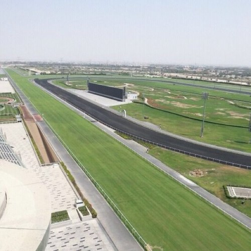 obaidsuroor's profile picture. 