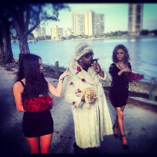 ThatHoGottaGo's profile picture. Chitown Pimp OG Hustler Extradonaire.. 
Got more resons why #ThatHoGottaGo tweet them on over ..