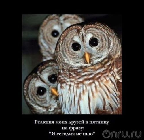 aliya365's profile picture. 